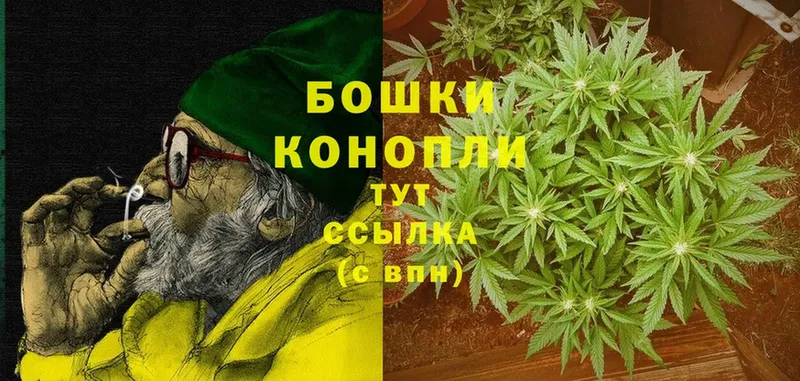 наркота  Вяземский  Бошки марихуана OG Kush 